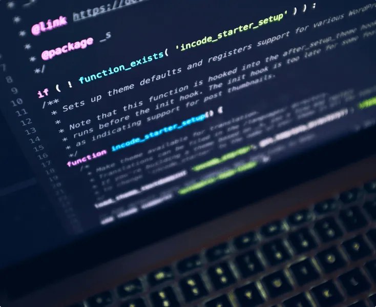 Laptop Coding Illustration